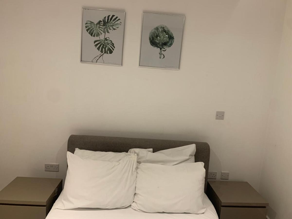 2 Bedroom 2 Bath 1 Ensuite In Roya Asenal Beautiful Views & Parking Лондон Экстерьер фото